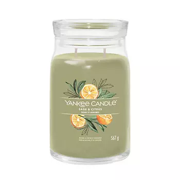 YANKEE CANDLE Ароматическая свеча Sage & Citrus