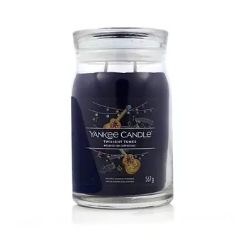 YANKEE CANDLE Ароматическая свеча Twilight Tunes