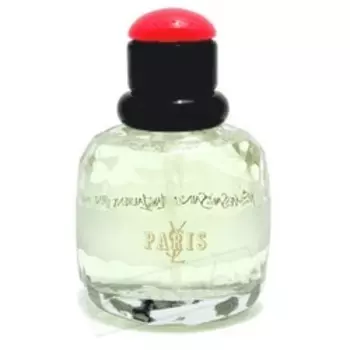 YSL Paris