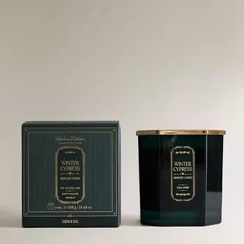 ZARA HOME Ароматическая свеча winter cypress 550.0