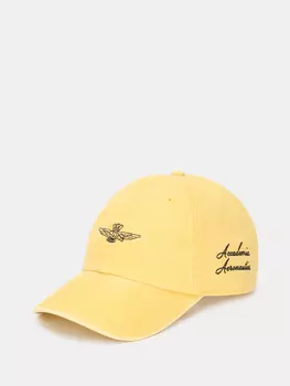 Бейсболки Aeronautica Militare