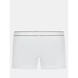 Боксеры Alessandro Manzoni