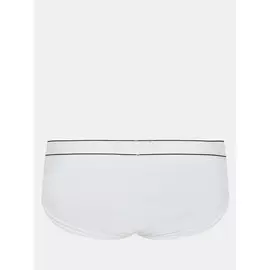 Брифы Alessandro Manzoni