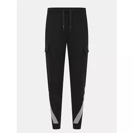 Спортивные брюки EA7 Emporio Armani