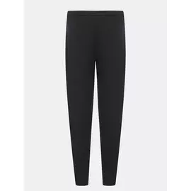 Брюки EA7 Emporio Armani