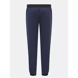 Брюки EA7 Emporio Armani