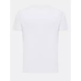 Футболка Alessandro Manzoni