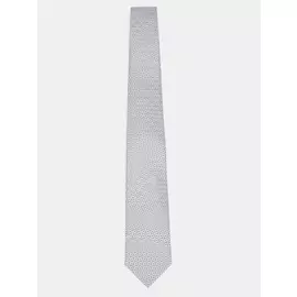 Галстуки Alessandro Manzoni