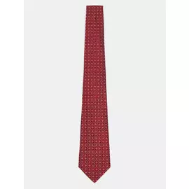 Галстуки Cerruti 1881