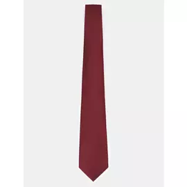 Галстуки Ritter