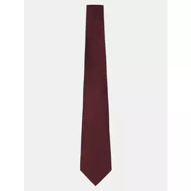 Галстуки Ritter