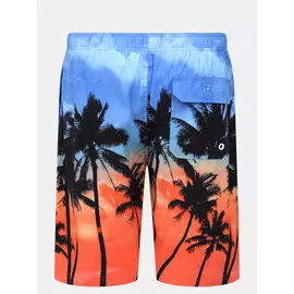 Плавательные шорты Ritter Jeans