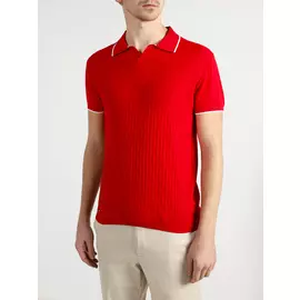 Поло Alessandro Manzoni