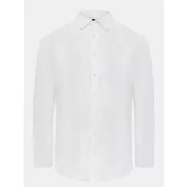 Рубашки Ritter