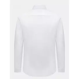 Рубашка Eterna