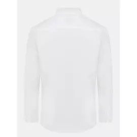 Рубашки Ritter