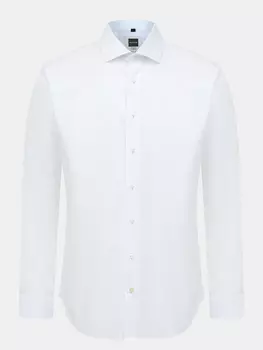 Рубашки Ritter