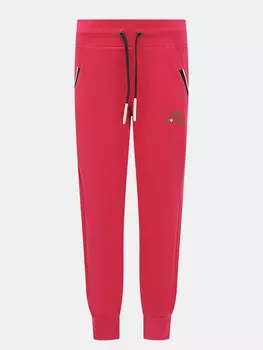 Спортивные брюки Aeronautica Militare