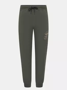 Спортивные брюки Aircraft