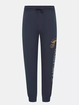 Спортивные брюки Aircraft