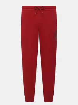 Спортивные брюки Armani Exchange