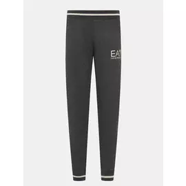 Спортивные брюки EA7 Emporio Armani