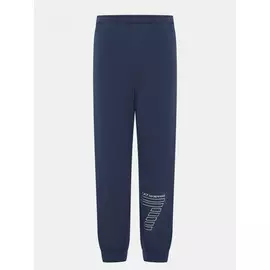 Спортивные брюки EA7 Emporio Armani