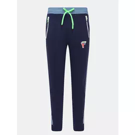 Спортивные брюки Ice Play