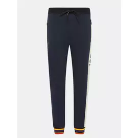 Спортивные брюки Ice Play