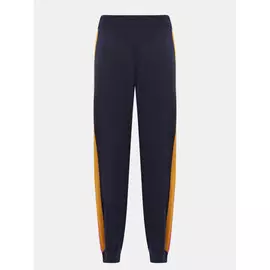 Спортивные брюки Ice Play