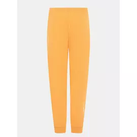 Спортивные брюки Ice Play