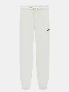 Спортивные брюки The North Face