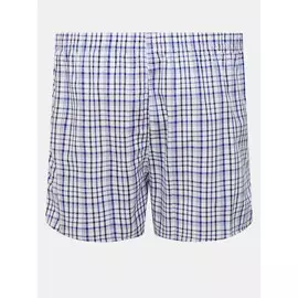 Трусы-шорты Ritter