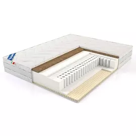 Evoluzione (Еволюцио’нэ) 80x190