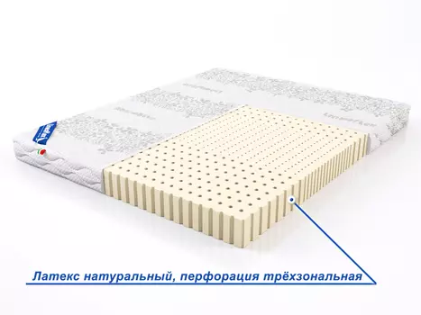 LATEXzone (ЛАТЕКСзон) 80x200