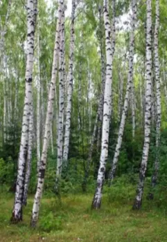 27 сентября