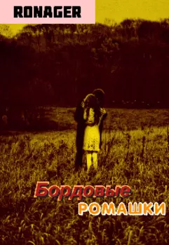 Бордовые ромашки