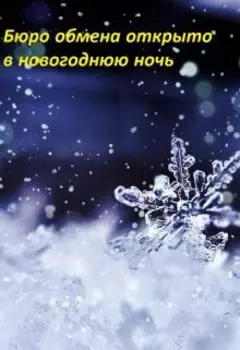 Бюро обмена открыто в новогоднюю ночь