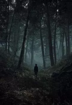 Dark Wood