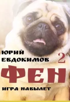 Фен 2