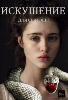 Искушение для святоши