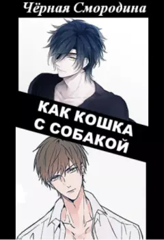 Как кошка с собакой