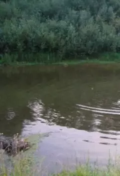 Крымский цугцванг
