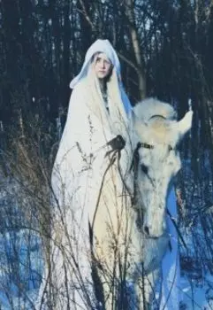 Лёд и Солнце