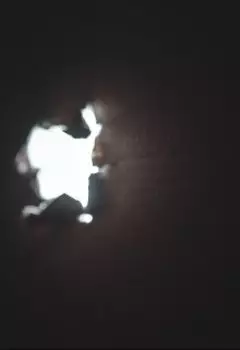Локти