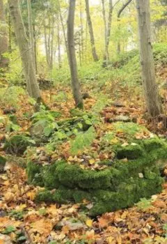 Любшанская крепость и моя Любша