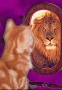Мой мир