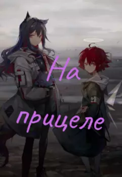 На прицеле