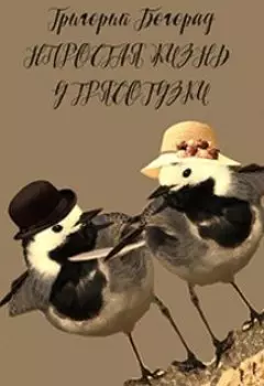 Непростая жизнь у трясогузки