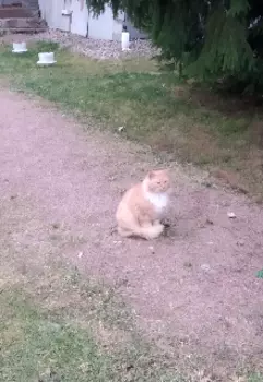 Нет